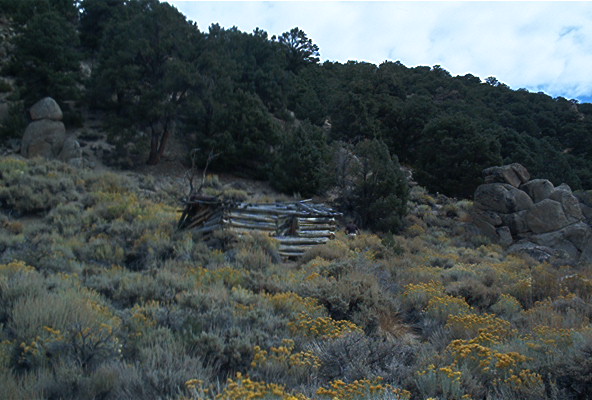 Old log cabin sits in a dry, hilly area with brush and trees