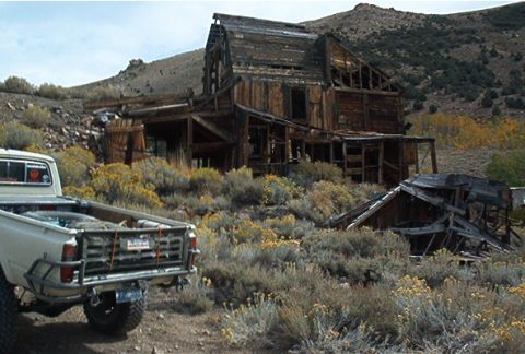 1986 Ford Bronco - A white pickup truck is parked in a dry, brushy landscape next to a decaying wooden structure.