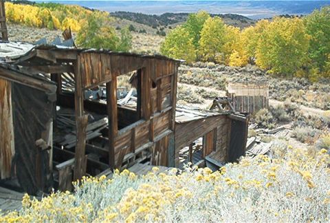 1986 Ford Bronco - Abandoned buildings stand in a desolate landscape, surrounded by dry brush and autumn trees.