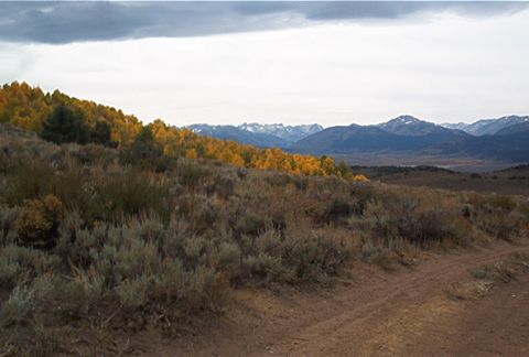 1986 Ford Bronco - A scenic view of a mountain range with fall foliage, seen from a dirt road.