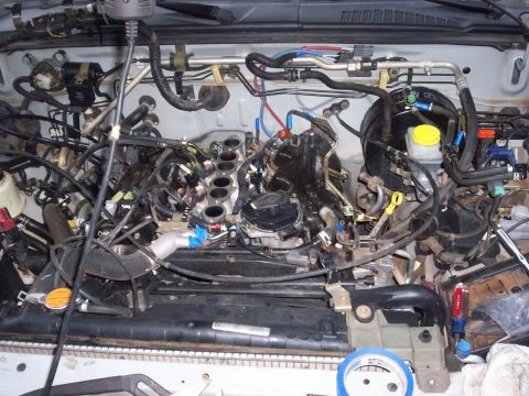 2005 Ford Mustang - The engine bay of a vehicle is shown with many hoses and wires, suggesting a complex mechanical system.