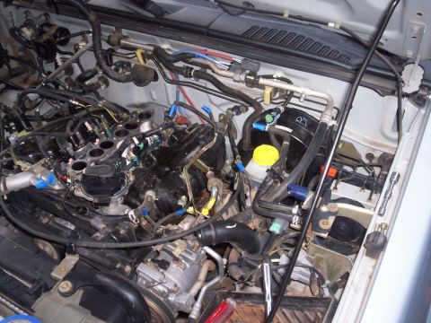 2005 Ford Mustang - A detailed view of a vehicle's engine bay, showing intricate plumbing and electrical connections.