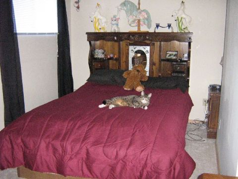 1995 Ford Bronco - Cat rests on a bed in a bedroom with a wooden headboard and decorative items.