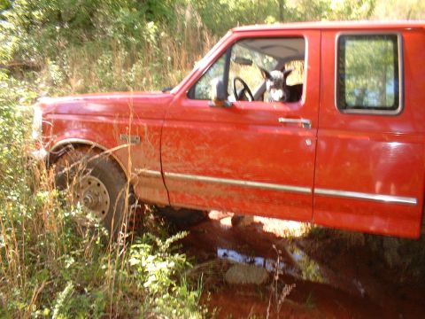1995 Ford F-150 - Driver's-side view of a red Ford F-150 extended-cab pickup straddling a muddy rut in an overgrown trail, with a black and white dog sitting…