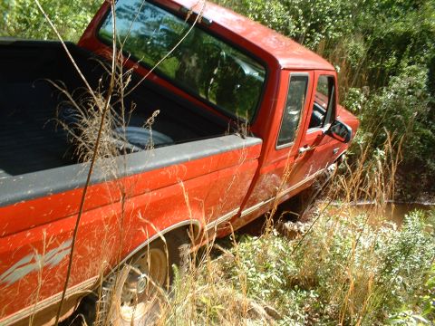 1995 Ford F-150 - Red Ford extended-cab pickup viewed from behind the bed at a steep angle, leaning into a weed-choked mud hole with brown water beside the f…