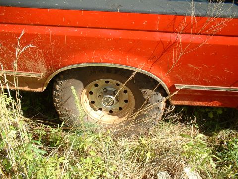 1995 Ford F-150 - Rear wheel of a red Ford pickup parked in tall weeds, wearing a dust-covered Mastercraft mud-terrain tire on a black steel wheel with an un…