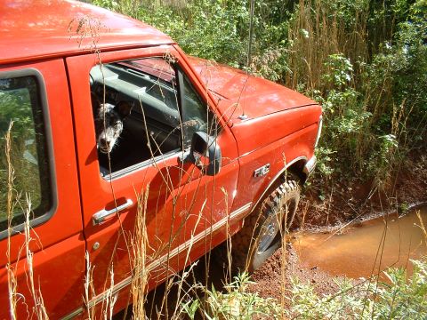 1995 Ford F-150 - Elevated side view of a red Ford F-150 pickup nosed down into a muddy red-clay ditch with standing water, mud-terrain tires on the front wh…