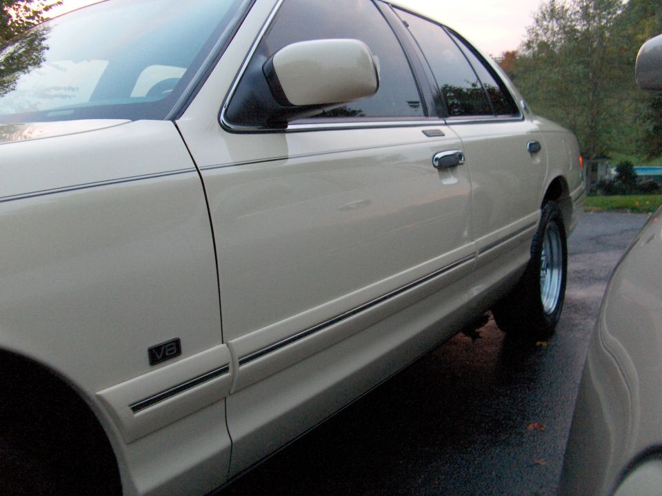 Side view of cream full-size sedan with V8 badge and alloy wheel on wet pavement.