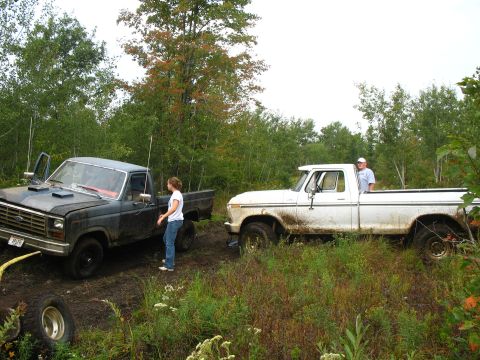 1979 Ford F-250 photo