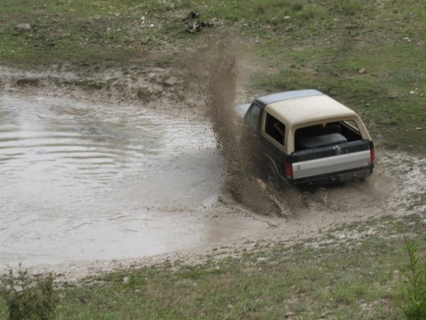 1986 Ford Bronco - another tank shot. nice rooster