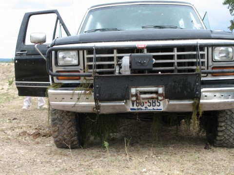 1986 Ford Bronco - all the moss after almost getting stuck