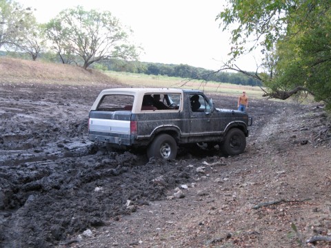 1986 Ford Bronco - pulled her right out