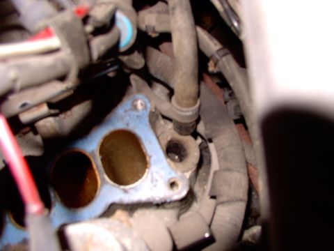 1990 Lincoln Town Car - There's a fuzzy shot of the PCV valve in place (behind and below the last port on the intake). Still has the hose attached to it.