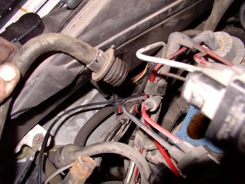 1990 Lincoln Town Car - By pulling the hose, the PCV grommet came out with the PCV valve, indicating how old and brittle it was.