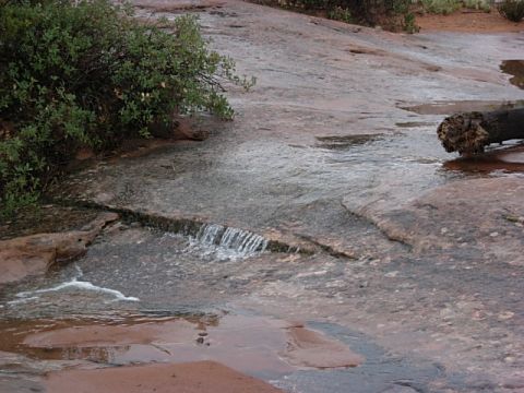 1993 Ford Bronco - A small stream cascades over a rocky surface, with a fallen log resting nearby.