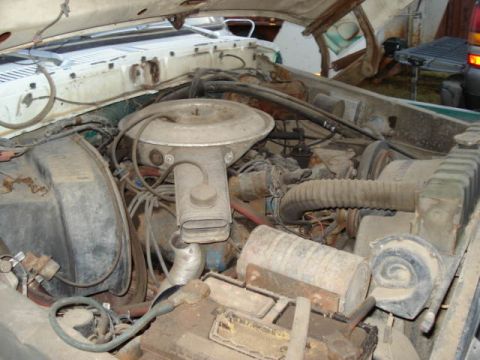 1979 Ford Bronco - The engine bay of a vehicle, showing the air cleaner, radiator, and various hoses and wires.