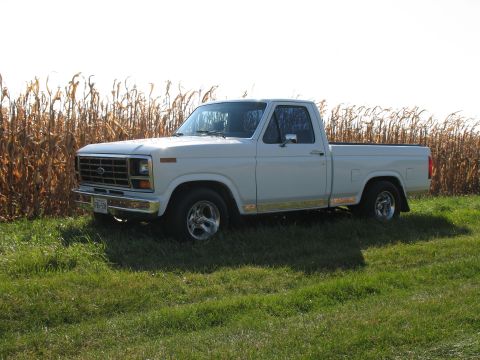 1994 Ford F-150 - A white pickup truck is parked in a field with dry corn stalks in the background.