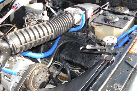 1994 Ford Bronco - Close-up of an engine bay with custom blue hoses and a large air intake component.