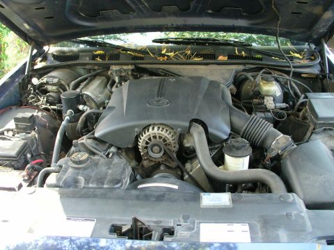 1999 Ford Crown Victoria photo