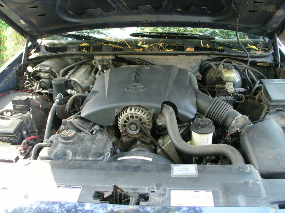 1999 Ford Crown Victoria engine bay with engine cover and alternator visible