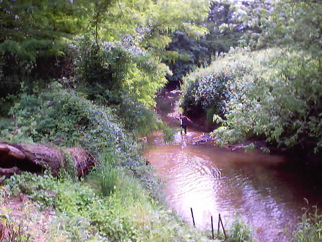 Running the winch cable down stream.