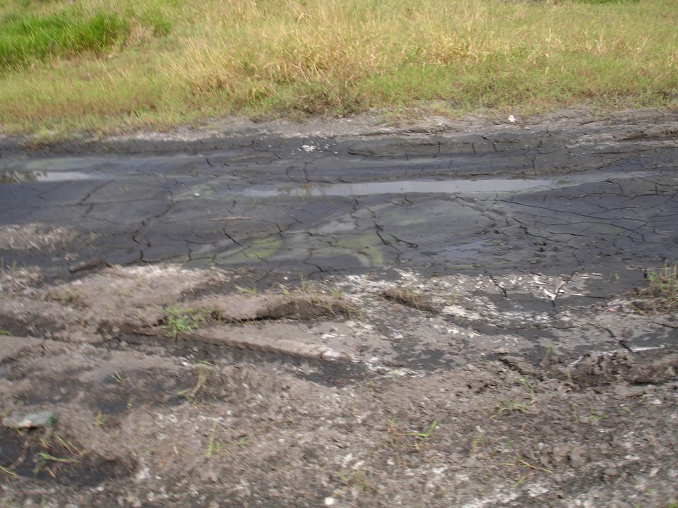 Muddy ground with cracked surface and tire tracks, with dry grass in the background
