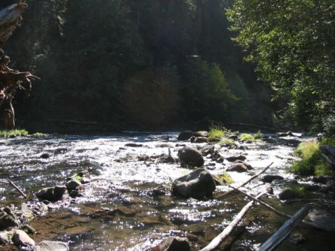 1995 Ford Bronco - nice creek on the way