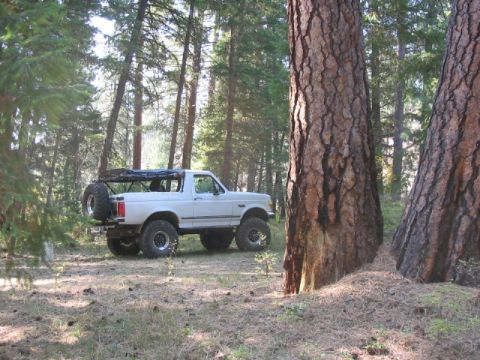 1995 Ford Bronco - White 1995 Ford Bronco with aftermarket wheels and spare tire carrier in a wooded area.