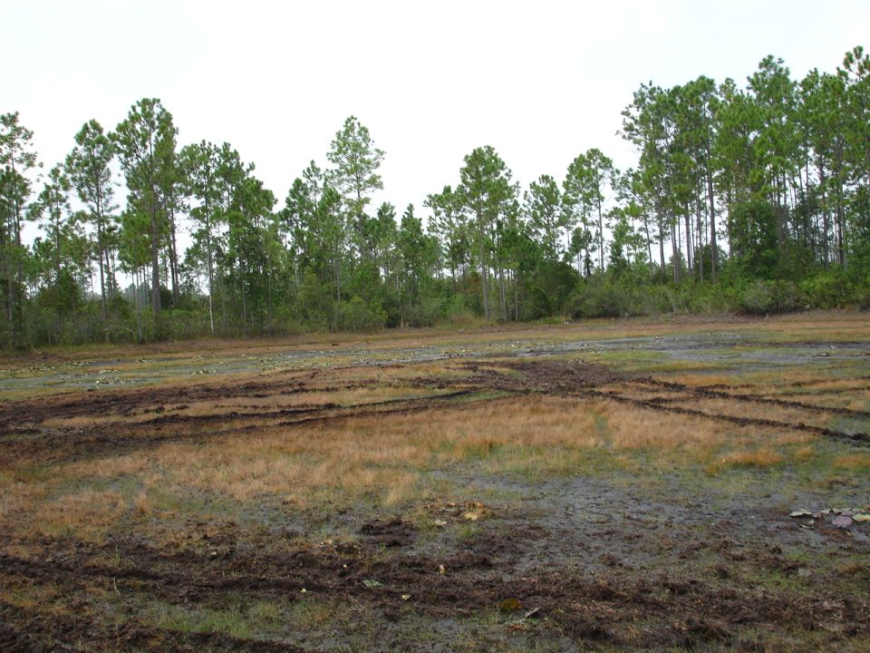 Muddy field with tire tracks and pine trees in the background. Watermark reads SUPERMOTORS