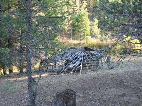 1995 Ford Bronco - An old, decaying wooden structure sits in a clearing surrounded by trees, its roof partially caved in.