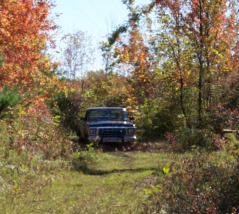 1979 Ford Bronco - A dark colored Ford F-Series truck is parked on a dirt road surrounded by trees with fall foliage.