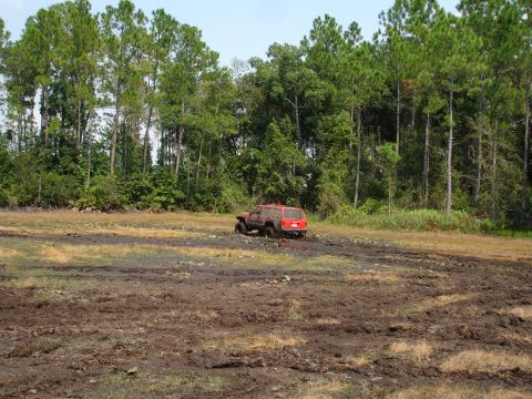 1989 Ford Bronco - A red SUV is stuck in a muddy field with trees in the background.