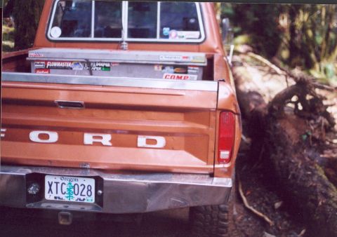 1976 Ford F-100 - Backed into that stump to the right.