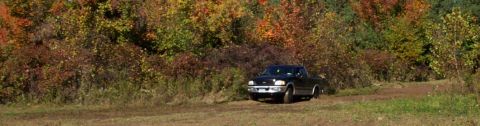 1979 Ford Bronco - A black pickup truck sits on a dirt road surrounded by trees in fall colors.