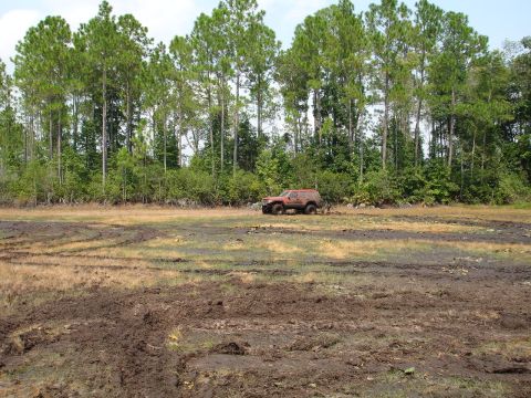 1989 Ford Bronco - A red SUV navigates a muddy, rutted field with a dense line of trees in the distance.