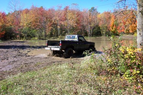 1979 Ford Bronco - A black pickup truck struggles through a muddy off-road course during autumn, with colorful trees surrounding the water.