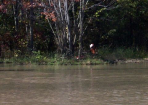 1979 Ford Bronco - A person sits by the water's edge near trees during the fall.