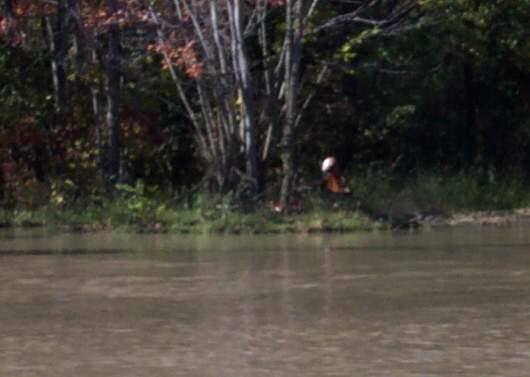 Person wearing an orange shirt and white hat sits near trees by a body of water