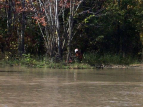 1979 Ford Bronco - A person is seen operating a chainsaw in a wooded area next to a muddy body of water.