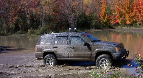 1979 Ford Bronco - This SUV is parked on a dirt road surrounded by trees with autumn foliage.