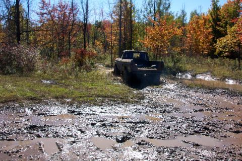 1979 Ford Bronco - SUV parked on a gravel road surrounded by trees with autumn leaves.