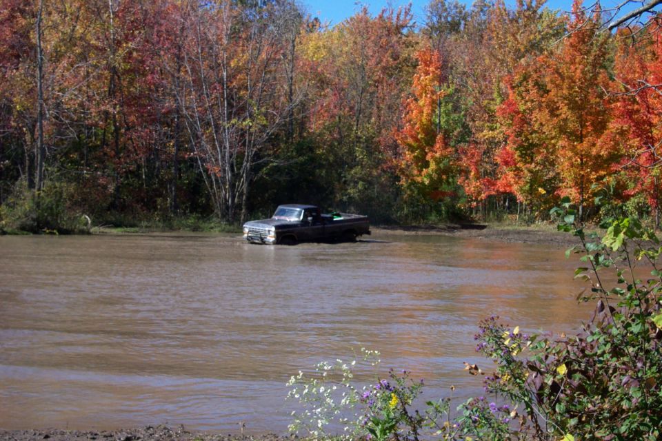 White and black vehicle partially obscured by trees with autumn foliage