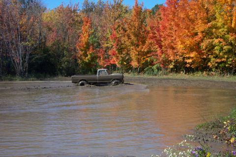 1979 Ford Bronco - A brown pickup truck navigates through a muddy area surrounded by vibrant fall colors.