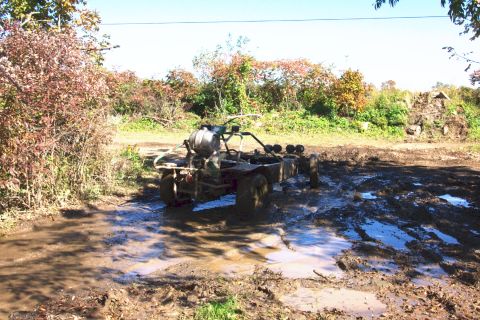1979 Ford Bronco - An off-road buggy is stuck in a muddy area surrounded by vegetation under a clear sky.