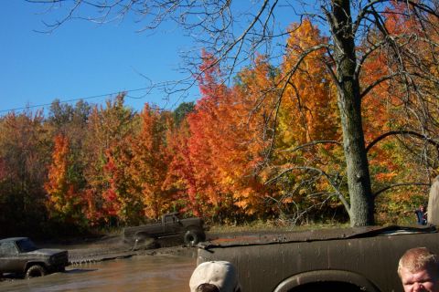 1979 Ford Bronco - Off-road trucks navigate a muddy terrain surrounded by vibrant fall foliage under a clear blue sky.