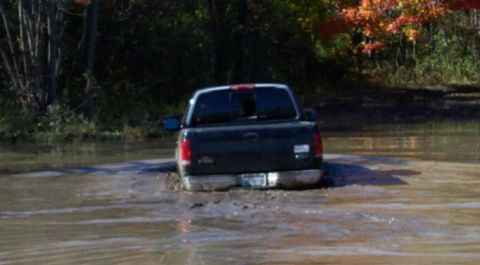1979 Ford Bronco - A dark pickup truck is stuck in a muddy puddle with trees in the background.