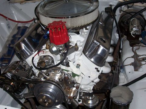 1978 Ford Mustang II - This engine bay features a V8 engine with polished chrome components and a bright red distributor cap.
