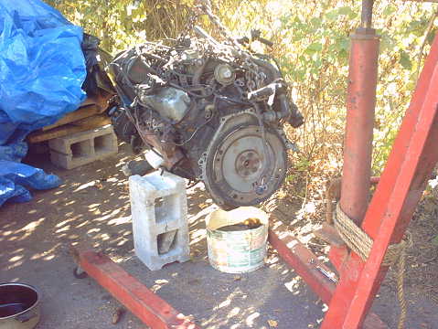 351W HO swap 01 - 1979 Ford Bronco