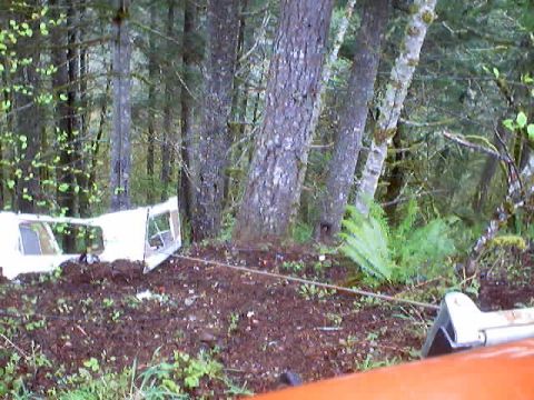 1976 Ford F-100 - A white truck cab lies on its side in a wooded area, entangled with trees and being winched out.
