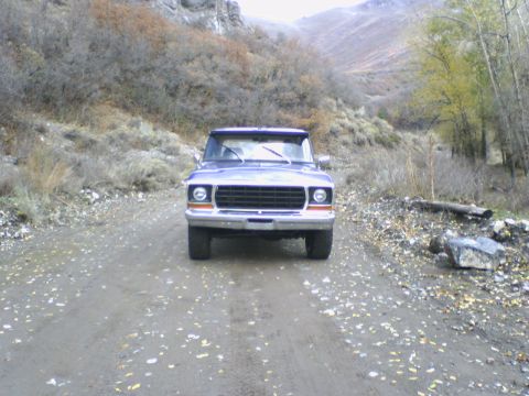 1978 Ford Bronco photo
